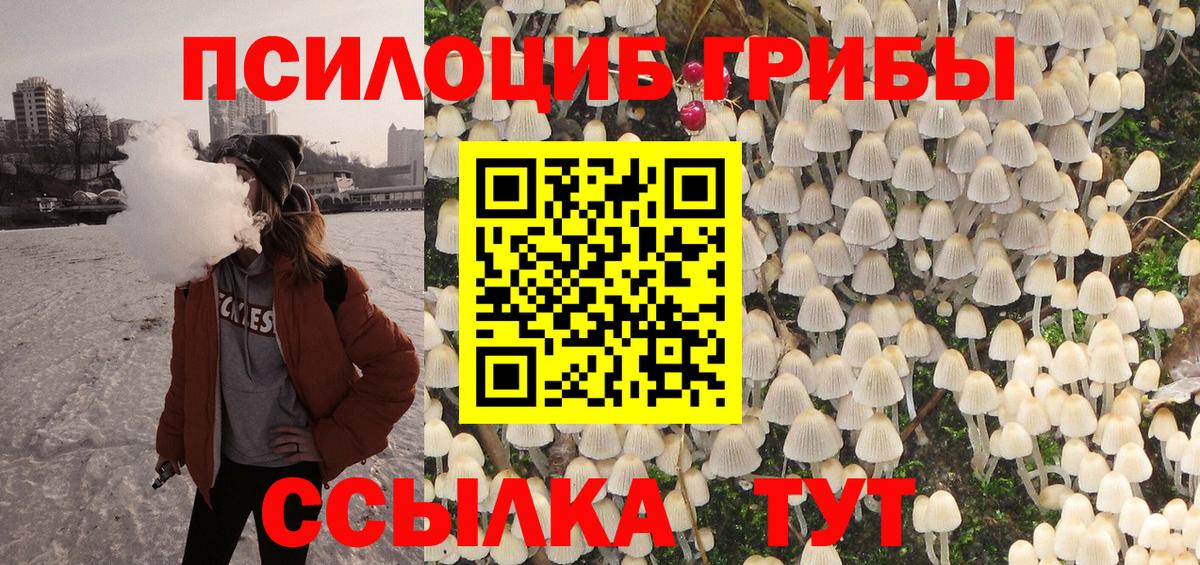 Псилоцибиновые грибы прущие грибы Шелехов